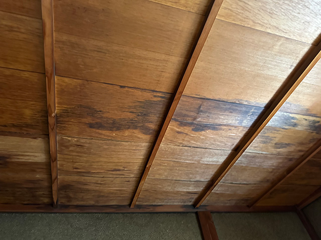 03.コラム01 室内の目視点検。