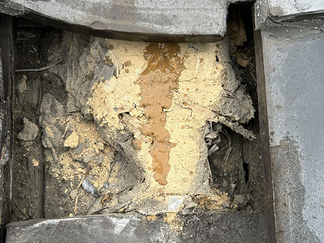 09.コラム01 瓦を報っての調査もあります。