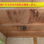 雨漏りしている天井の調査