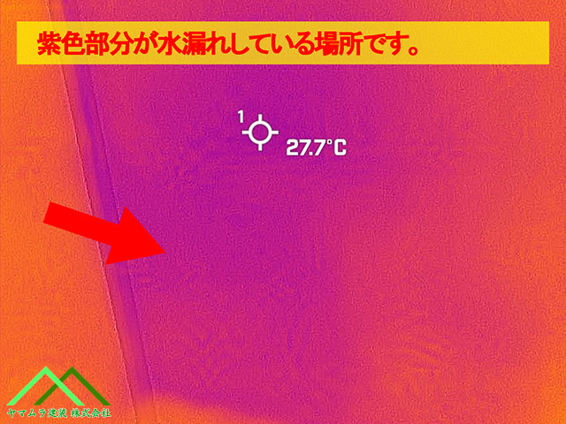 サーモグラフィーカメラで撮影