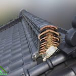 あっマオリの調査でご訪問しました