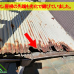 トタン屋根の先端も錆びていました