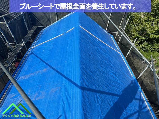 01．名古屋市緑区　葺き替え　ブルーシートで屋根全面を養生します。