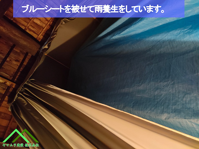 03．名古屋市緑区　葺き替え　ブルーシートを上から被せて雨養生をしています。