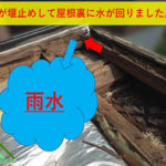 雨水が堰止めされています