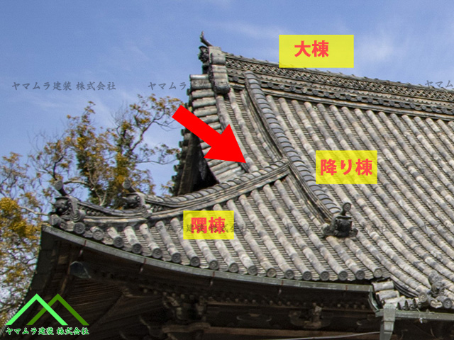 箕甲部分の説明