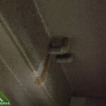 水漏れした水道管