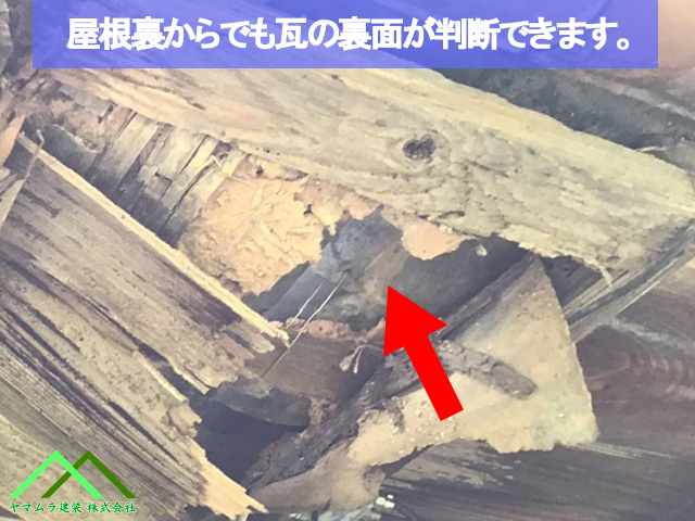 野地裏から瓦が見えます