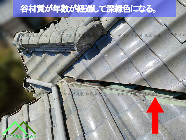 年数で深緑色になります