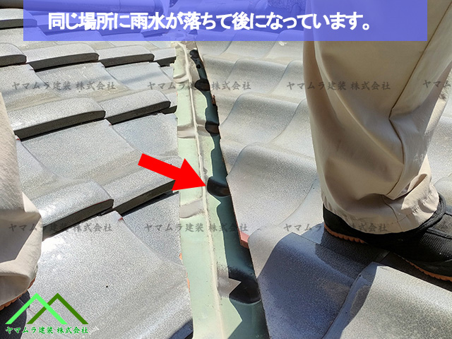 同じ場所に雨水が落ちている