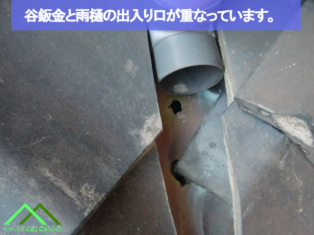 谷鈑金と雨樋の出口が一緒