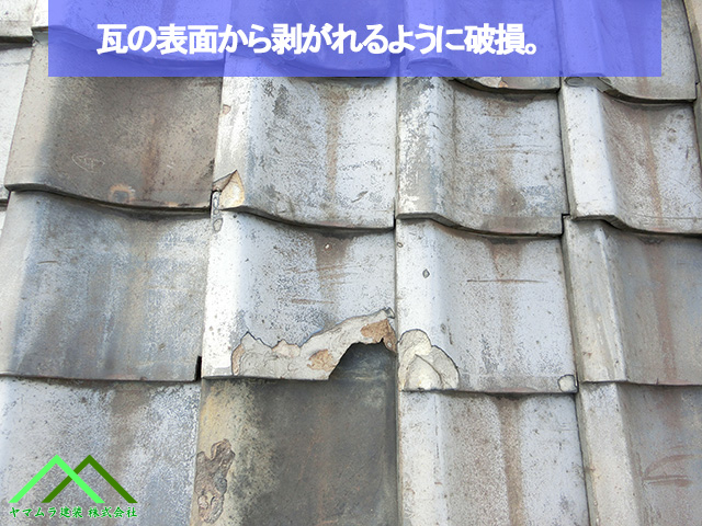 瓦の表面から破損しています