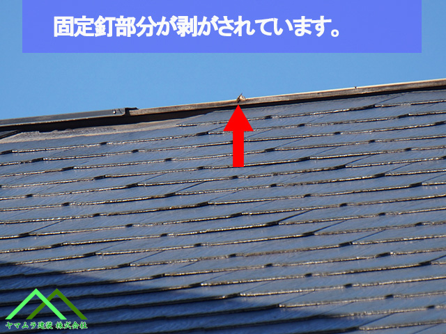 固定釘部分が剥がされています