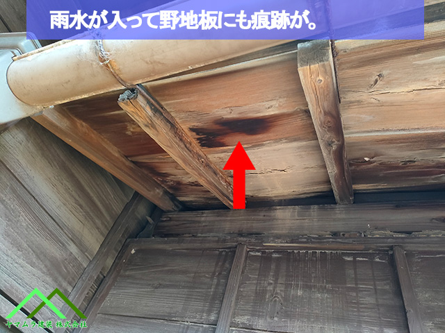 雨水で野地板も腐食させています