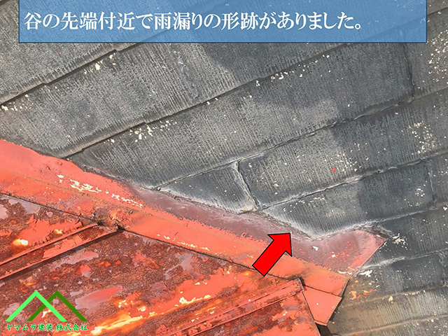 谷の先端部分に雨漏りの形跡