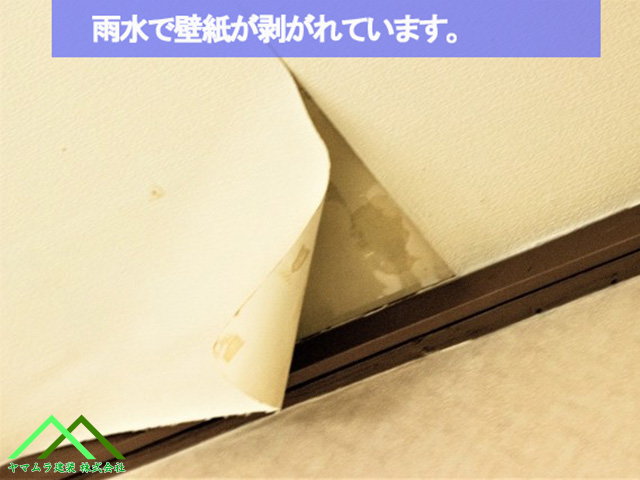 雨漏りで壁紙が捲れた