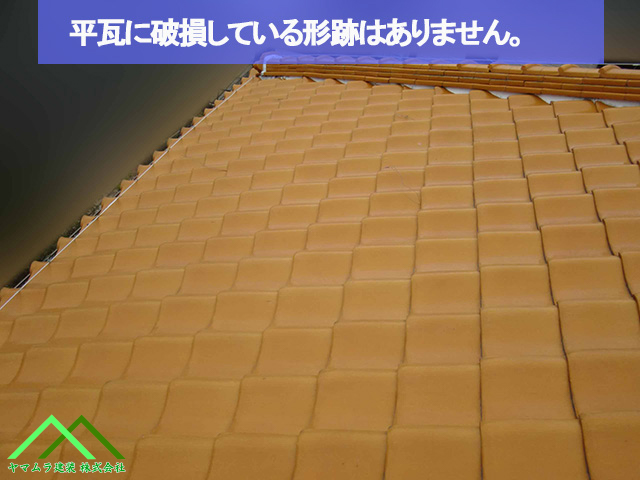 平瓦は無事でした