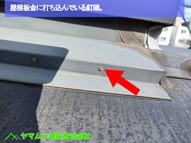 06.名古屋市中区 カバー工法 屋根板金に打ち込んでいる釘頭。