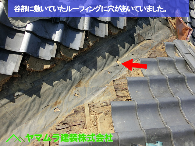 02豊明市　谷鈑金交換　谷部に敷いていたルーフィングに穴があいていました。