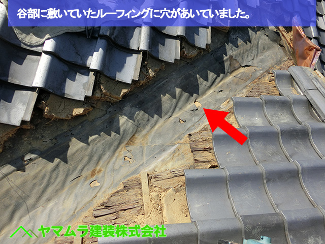 06豊明市 谷鈑金交換 谷部に敷いていたルーフィングに穴があいていました。