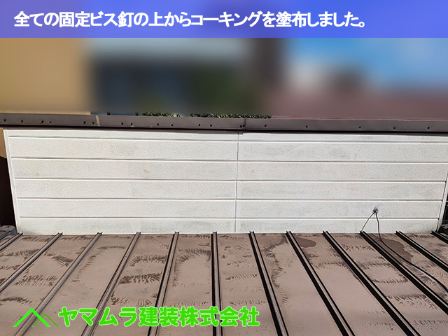 10.豊明市 トタン屋根修理 全ての固定ビス釘の上からコーキングを塗布しました。