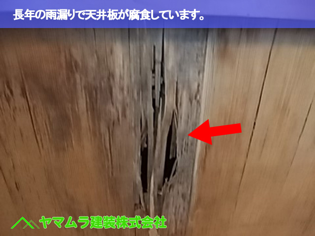 01.豊明市 天井板交換 長年の雨漏りで天井板が腐食しています。