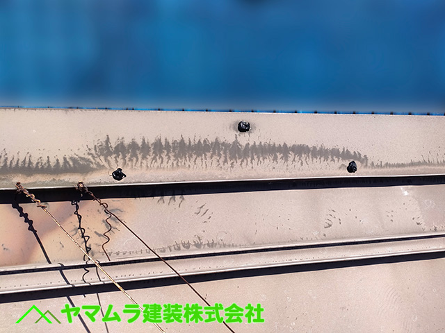 04.豊明市 トタン屋根修理 工事完了写真