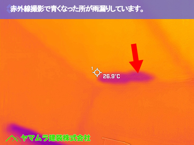03.豊明市 トタン屋根修理 赤外線撮影で青くなった所が雨漏りしています。