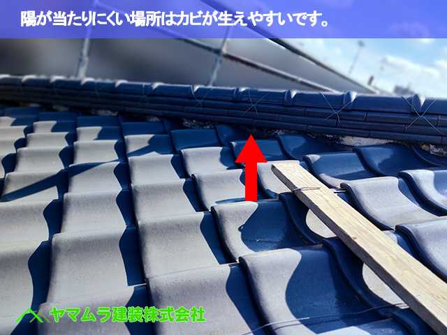 02．東海市　漆喰塗り替え　陽が当たりにくい場所はカビが生えやすいです。