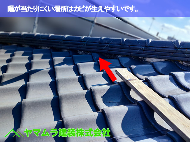 01．東海市　漆喰塗り替え　陽が当たりにくい場所はカビが生えやすいです。