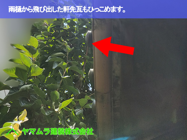02．東海市　雨漏り修繕　雨樋から飛び出した軒先瓦もひっこめます。