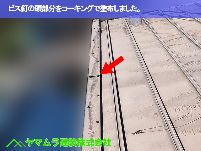 11.豊明市 トタン屋根修理 ビス釘の頭部分をコーキングで塗布しました。