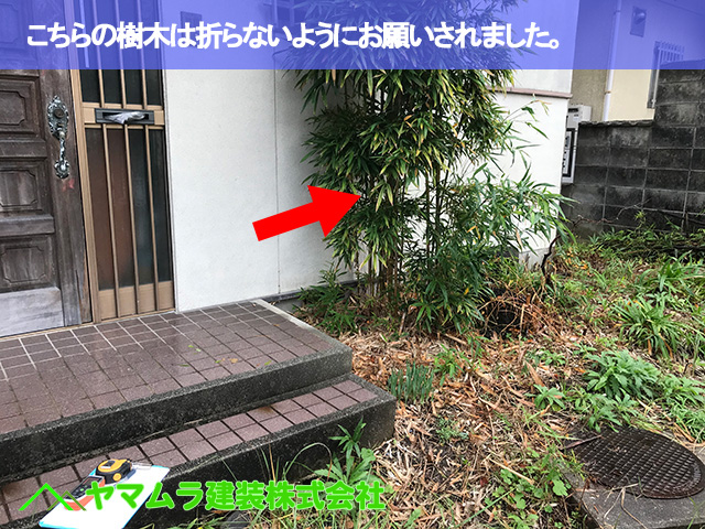 11．豊明市　カバー工法　こちらの樹木は折らないように注意を促されました。