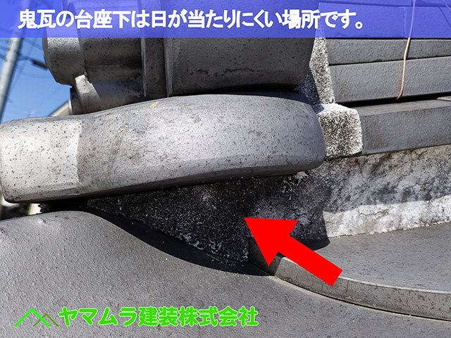 05.知多市 屋根漆喰作業 鬼瓦の台座下は日が当たりにくい場所です。