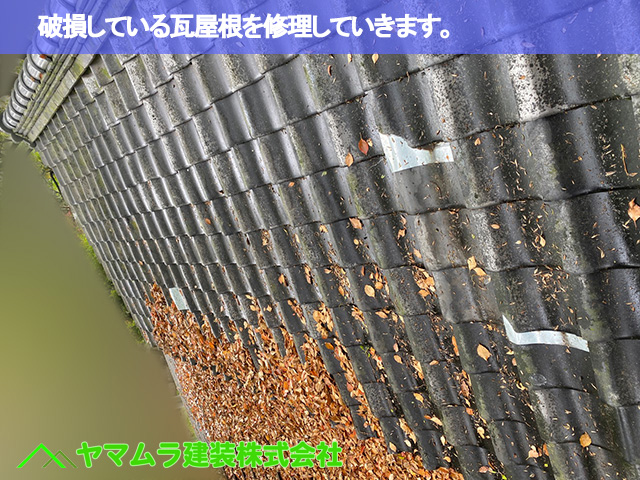 01．名古屋市南区　瓦修理　破損している瓦屋根を修理していきます。