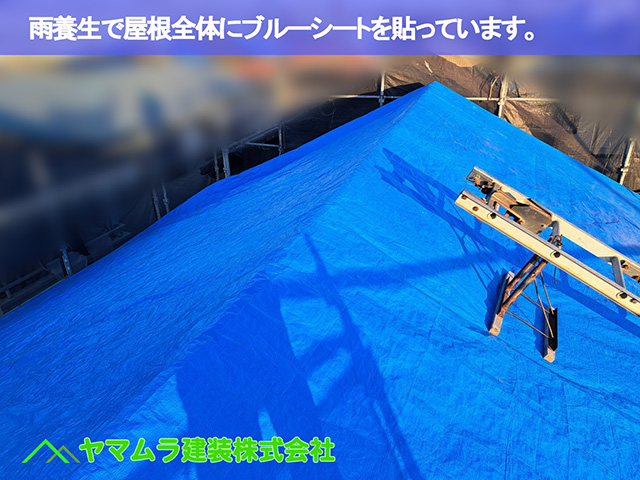 01.中川区 桟木打ち 雨養生で屋根全体にブルーシートを貼っています。