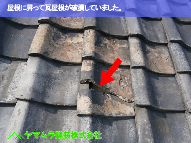02．名古屋市南区　瓦修理　屋根に昇って瓦屋根が破損していました。