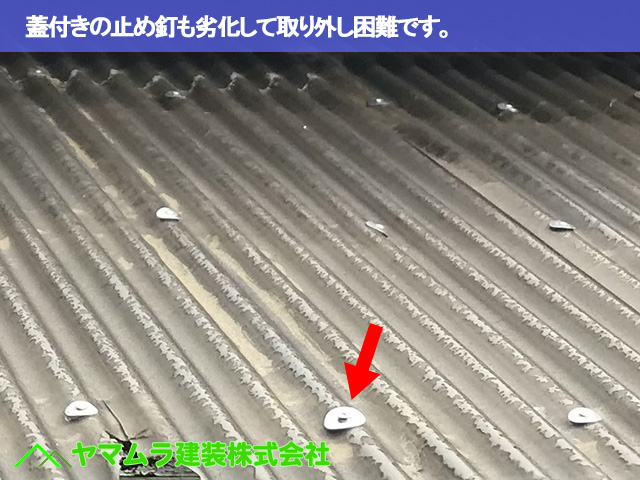 03.名古屋市天白区 塩ビ屋根交換 蓋付きの止め釘も劣化して取り外し困難です。