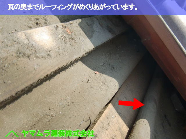 08．名古屋市南区　谷交換　瓦の奥までルーフィングがめくりあがっています。