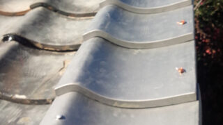 【瓦交換修理】名古屋市南区　費用を抑える部分補修と雨漏りを放置する危険性を解説！瓦が屋根から落下する前に点検診断を！