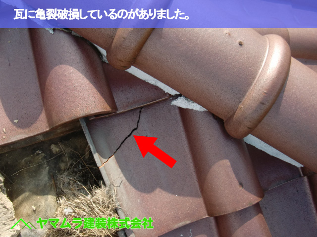 03.名古屋市南区 谷交換 瓦に亀裂破損しているのがありました。