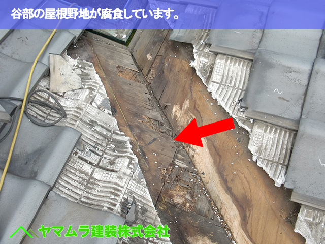 07.名古屋市昭和区 谷部修理 谷部の屋根野地が腐食しています。