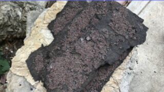 名古屋市緑区【応急処置】庭に謎の破片?アスファルトシングルの飛散は雨漏りの危険信号!原因と応急処置・修理費用を解説