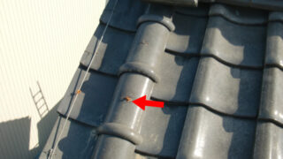 【破損瓦交換】名古屋市南区　築２０年が点検のサイン！雨漏り前の和瓦の欠け・ひび割れ、放置は危険！部分交換工事の全貌！