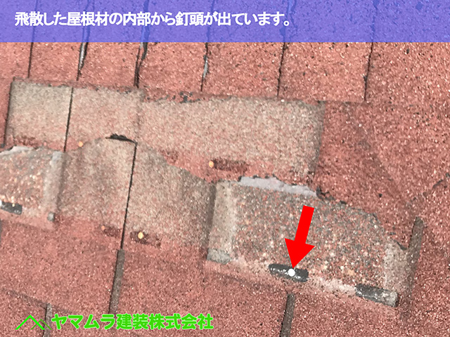 07．緑区　屋根修繕　飛散した屋根材の内部から釘頭が出ています。
