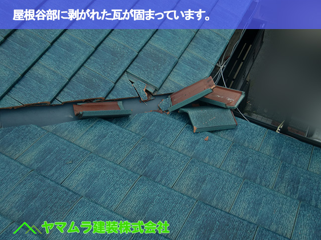 01.常滑市 破損瓦 屋根谷部に剥がれた瓦が固まっています。