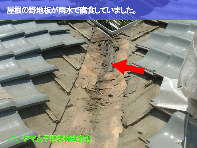 05．東浦町　谷鈑金　屋根の野地板が雨水で腐食していました。