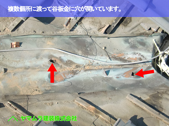 02．東浦町　谷鈑金　複数個所に渡って谷板金に穴が開いています。