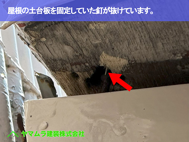 03.東海市 屋根修理 屋根の土台板を固定していた釘が抜けています。