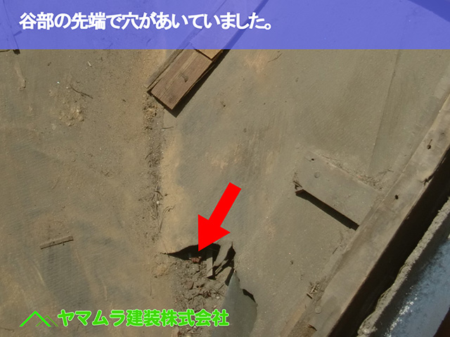 06.名古屋市天白区 谷交換 谷部の先端で穴があいていました。
